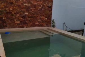 WhatsApp Image 2026-03-30 at 10.47.31 PM (2)